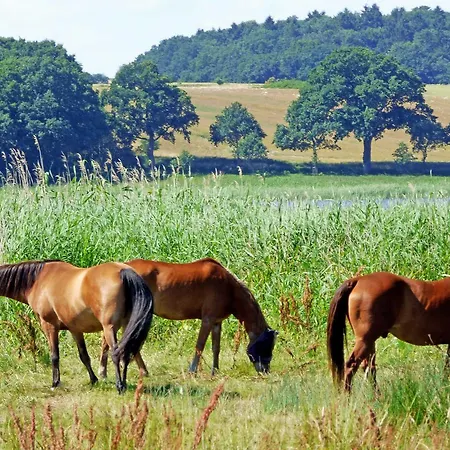 Selliner * Sellin (Rugen)